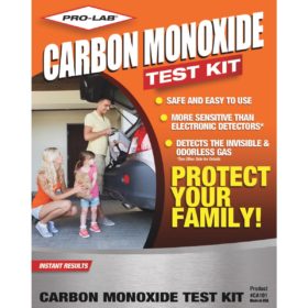 Pro Lab Instant Results Carbon Monoxide Test Kit (CA101)