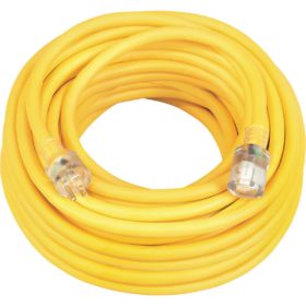 Coleman Cable 10/3 Cold Weather Extension Cord (1787SW0002)