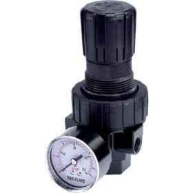 Tru-Flate 3/8 In. FNPT 250 PSI 65 CFM Compact Pressure Regulator (27-414)
