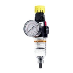 Tru-Flate 1/4 In. FNPT 150 PSI Mini Pressure Regulator (27-243)