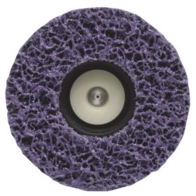 Wagner Paint Eater 4-1/2 In. 1 In. Paint Removal Disc (0513041)
