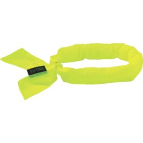 Ergodyne 12301 Chill-Its Cooling Bandana