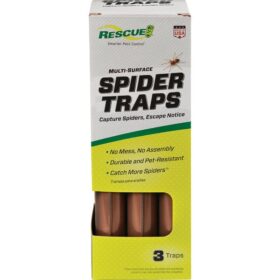 Rescue Indoor Glue Spider Trap (3-Pack) (ST3-BB4)